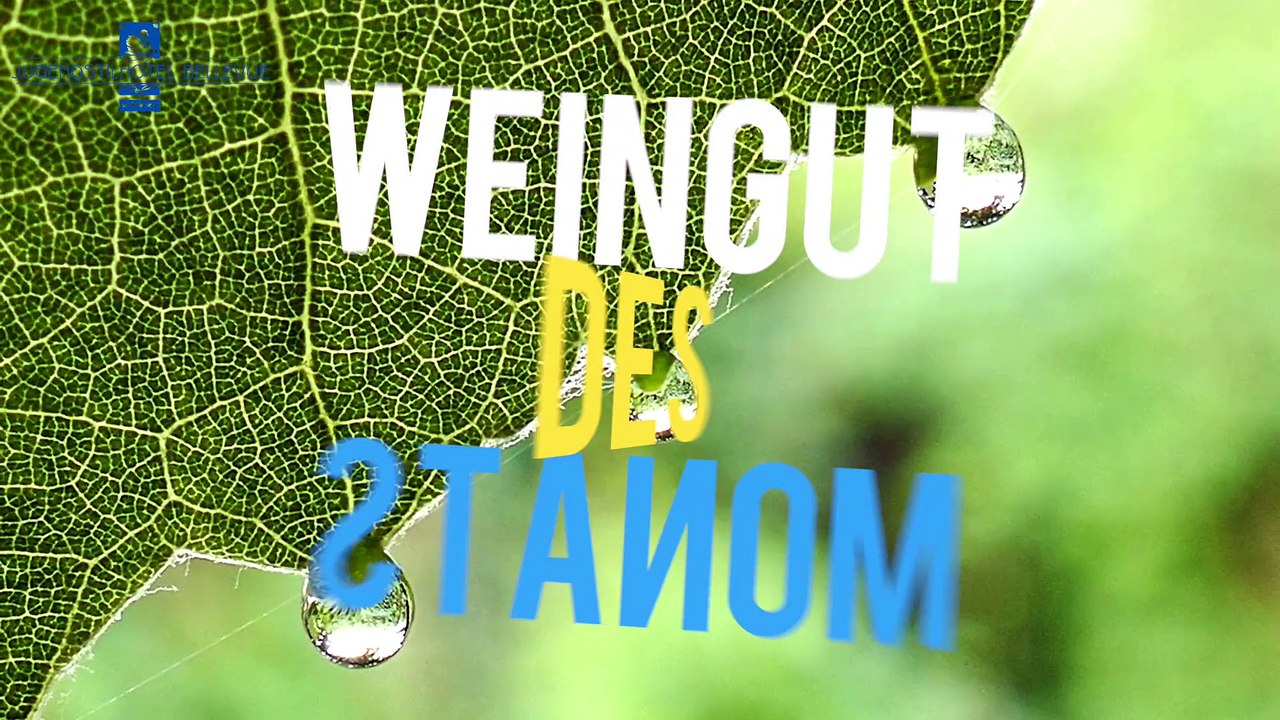 Leidenschaft in Flaschen trifft auf hohe Kochkunst