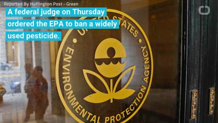 Court Orders EPA To Ban Pesticide Linked To Brain Damage In Kids