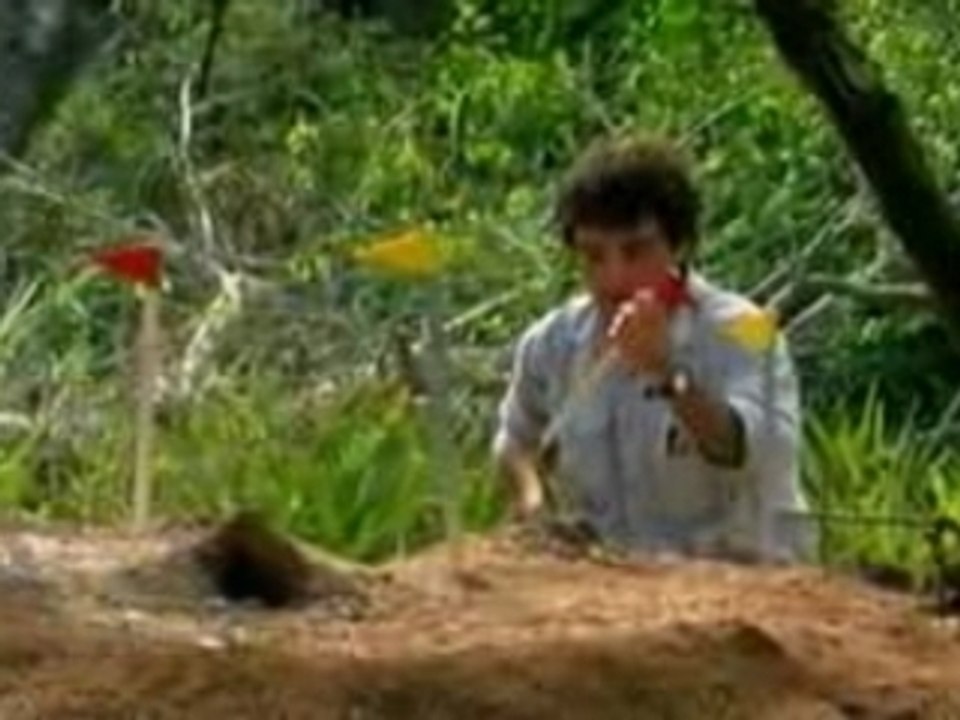 ENTOMOLOGIE(ORGANISATION DES FOURMIS)-3