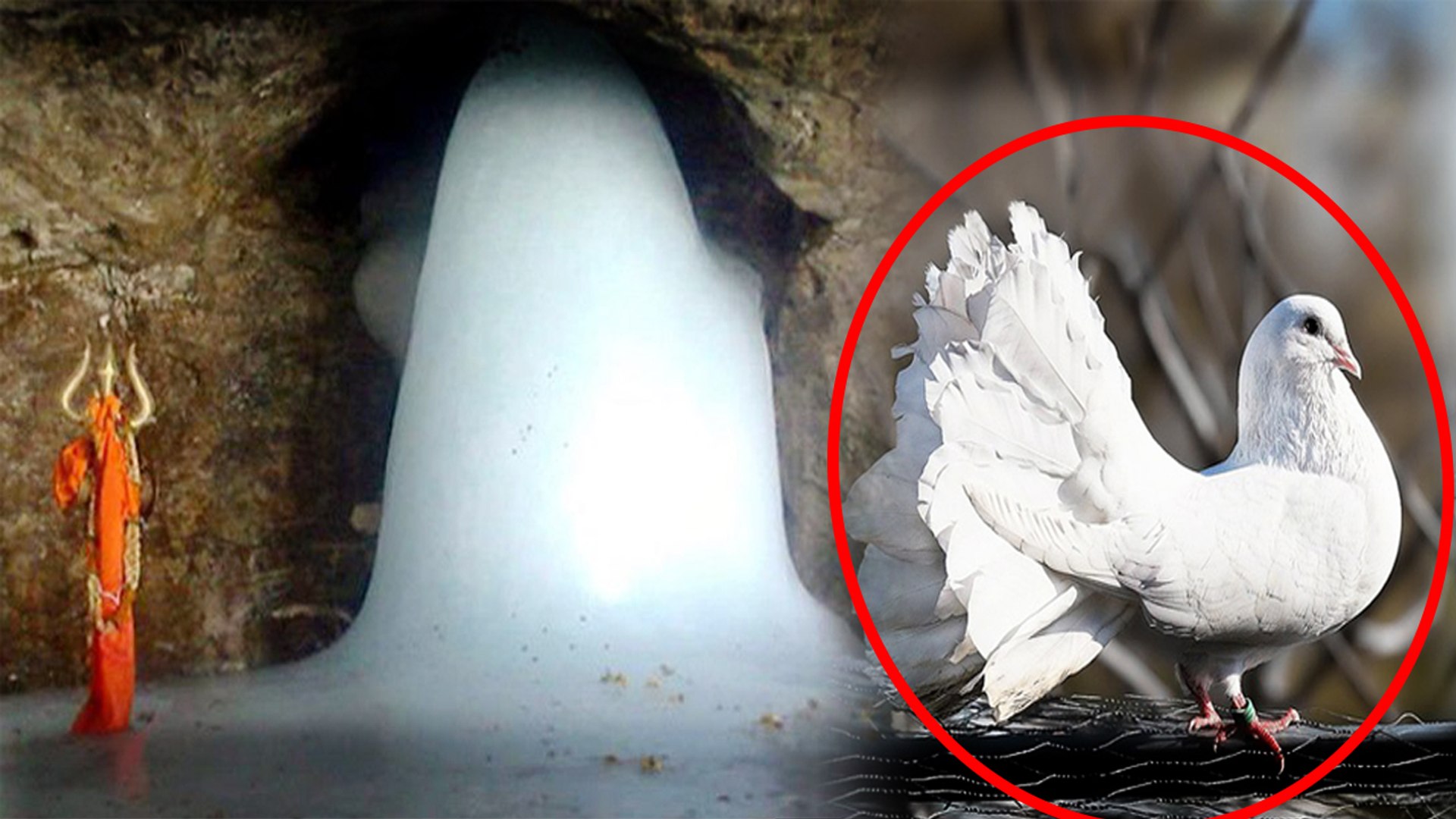 Amarnath Mystery: अमरनाथ की गुफा में हैं अमर कबूतरों का जोड़ा, होश उड़ा  देगा रहस्य | वनइंडिया हिन्दी - video Dailymotion