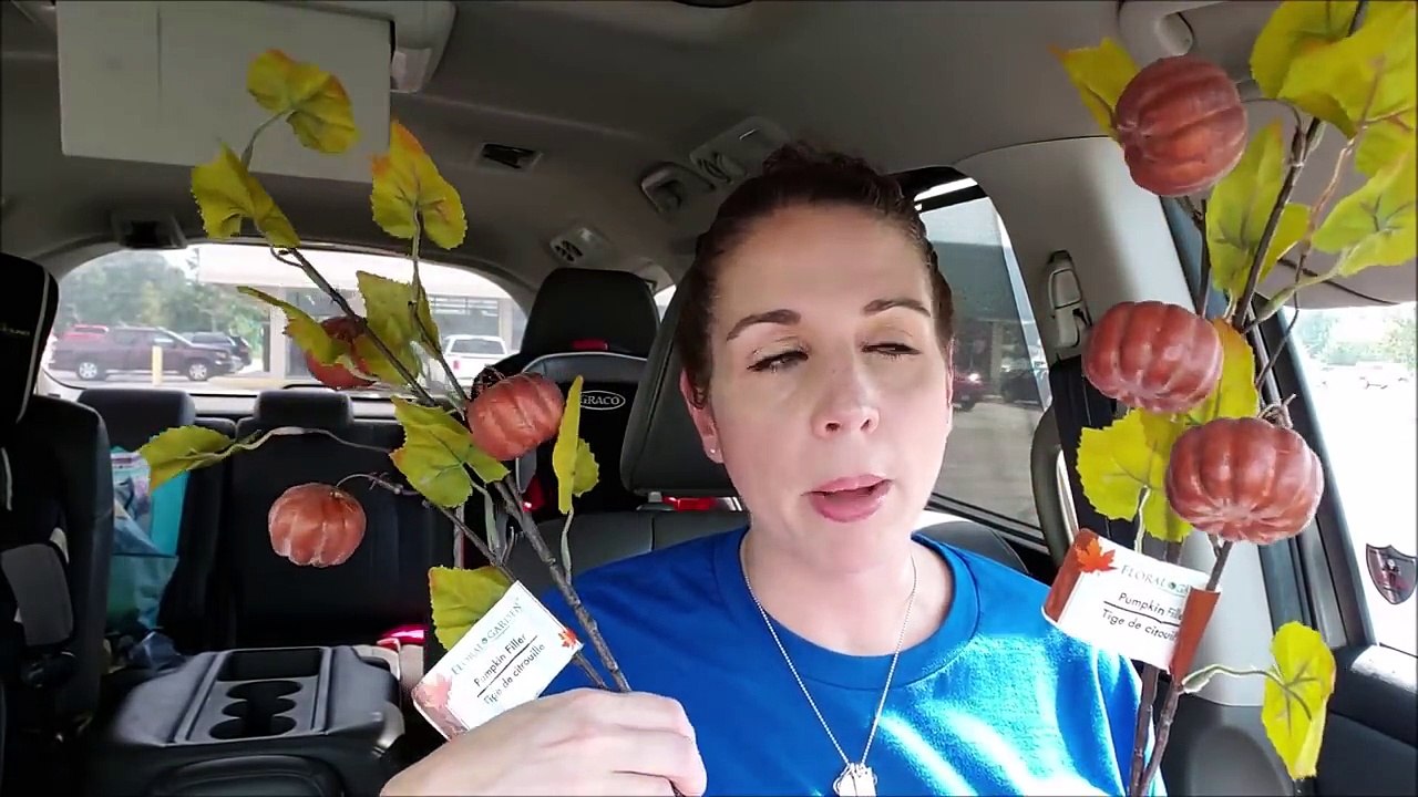 DOLLAR TREE HAUL! 8-9-18
