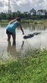 Elle nourrit à la main un alligator géant... Impressionnant