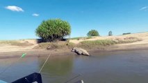 Ces pecheurs se font une belle frayeur en approchant d'un énorme crocodile