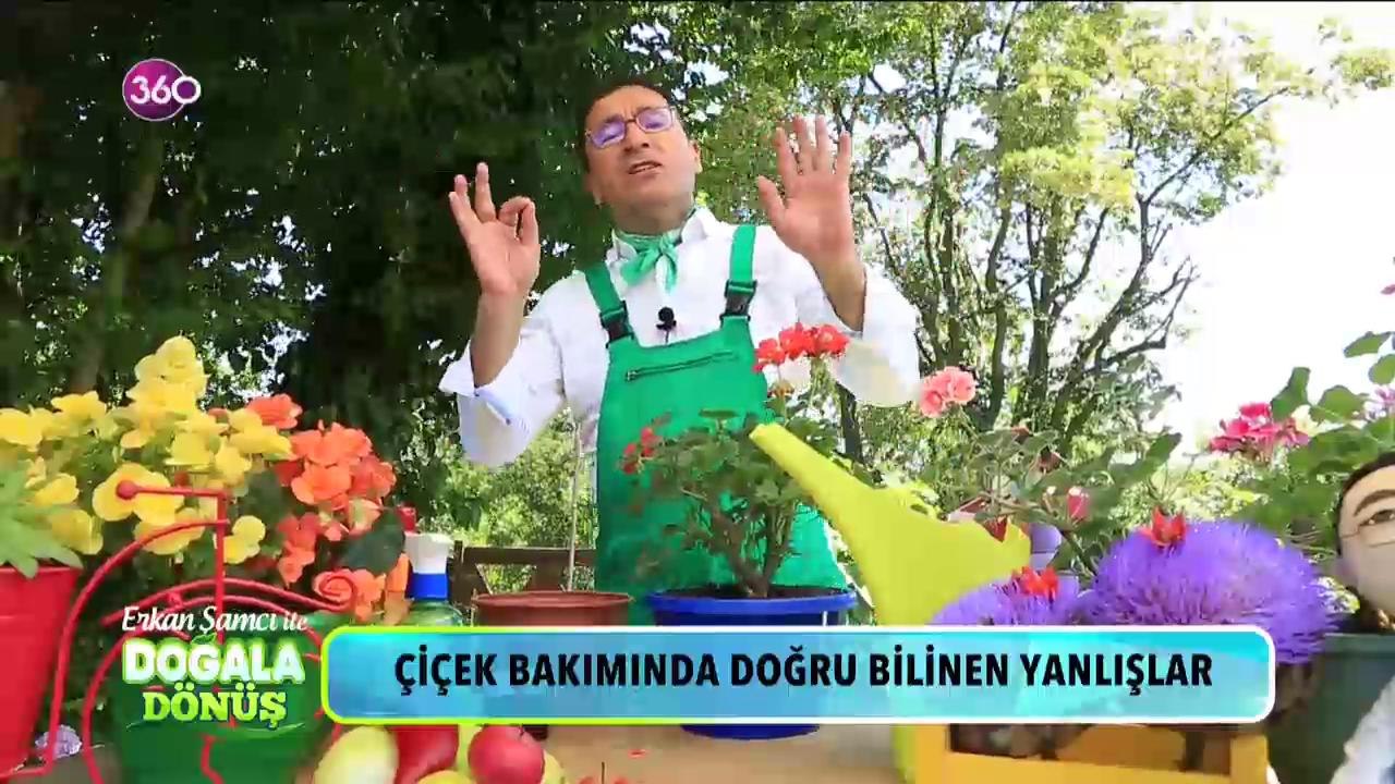 Doğala Dönüş