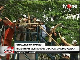 Thailand Musnahkan Lebih dari Dua Ton Gading Gajah