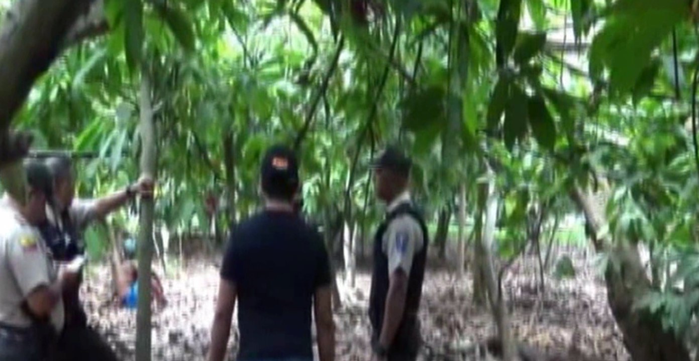 Joven reportado como desaparecido fue encontrado ahorcado en el patio de su casa