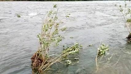 RIVER CAUVERY TAMILNADU INDIA