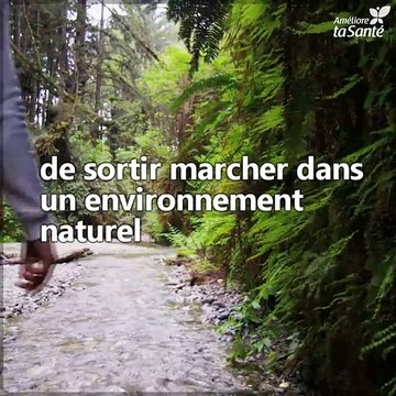 Sortez vous balader, mettez un pied devant l'autre et marchez pour soulager vos problèmes, pour désintoxiquer votre esprit. N'hésitez plus,car la marche modifie votre cerveau lorsque vous souffrez de dépression.