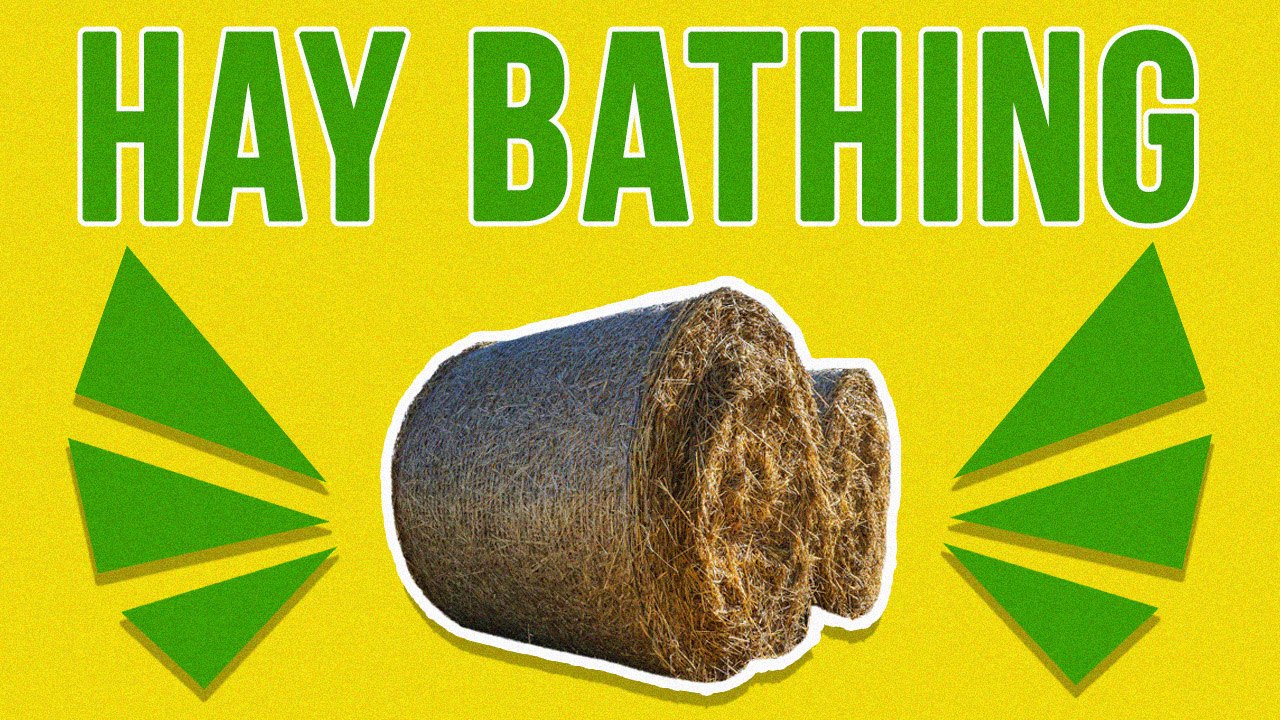 Hay Bathing: New Wellness Trend