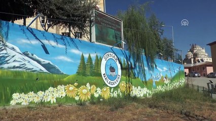 Şırnak caddeleri açık hava resim sergisine dönüştü