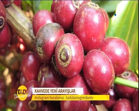 Tadı Damağımda 9 Ekim 2015