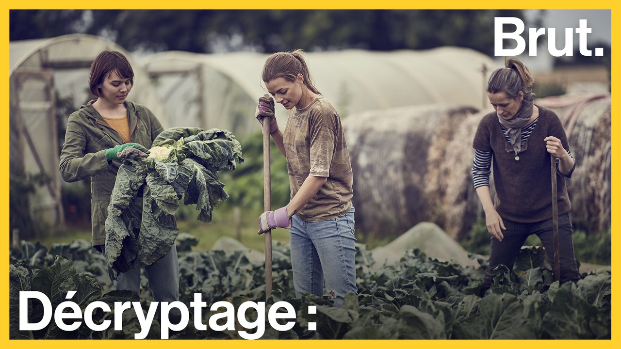 C'est quoi le WWOOFing ?