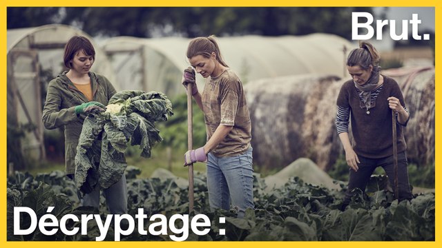 C'est quoi le WWOOFing ?