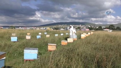 Sağanak Yağmur Bal Verimini Düşürdü
