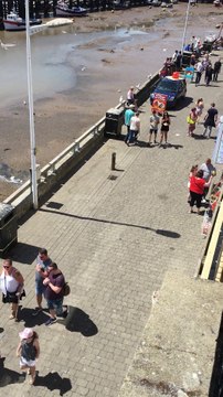 Des goélands volent de la nourriture à des touristes