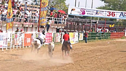 II MUNDIAL DE COLEO FEMENINO