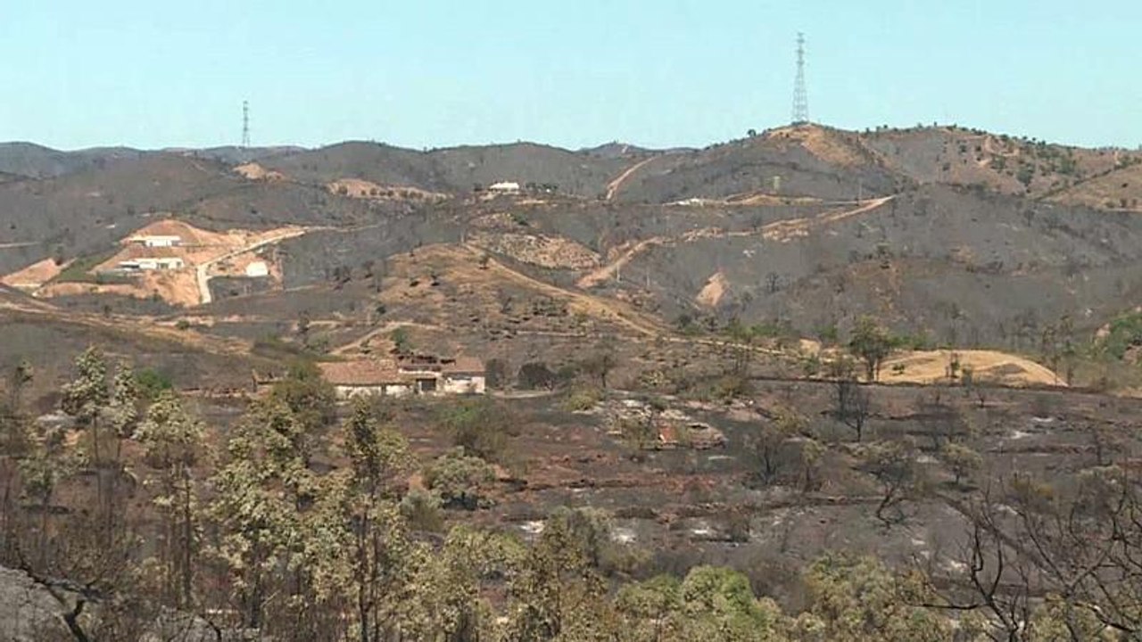 235 Quadratkilometer Pinien- und Eukalyptuswald verbrannt - größtes Feuer Europas 2018