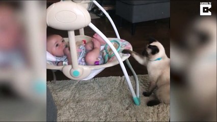 Ce chat est mieux qu'une nounou