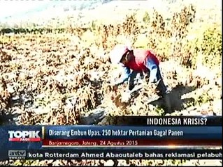 Diserang Embun Upas, 250 Hektare Pertanian Gagal Panen