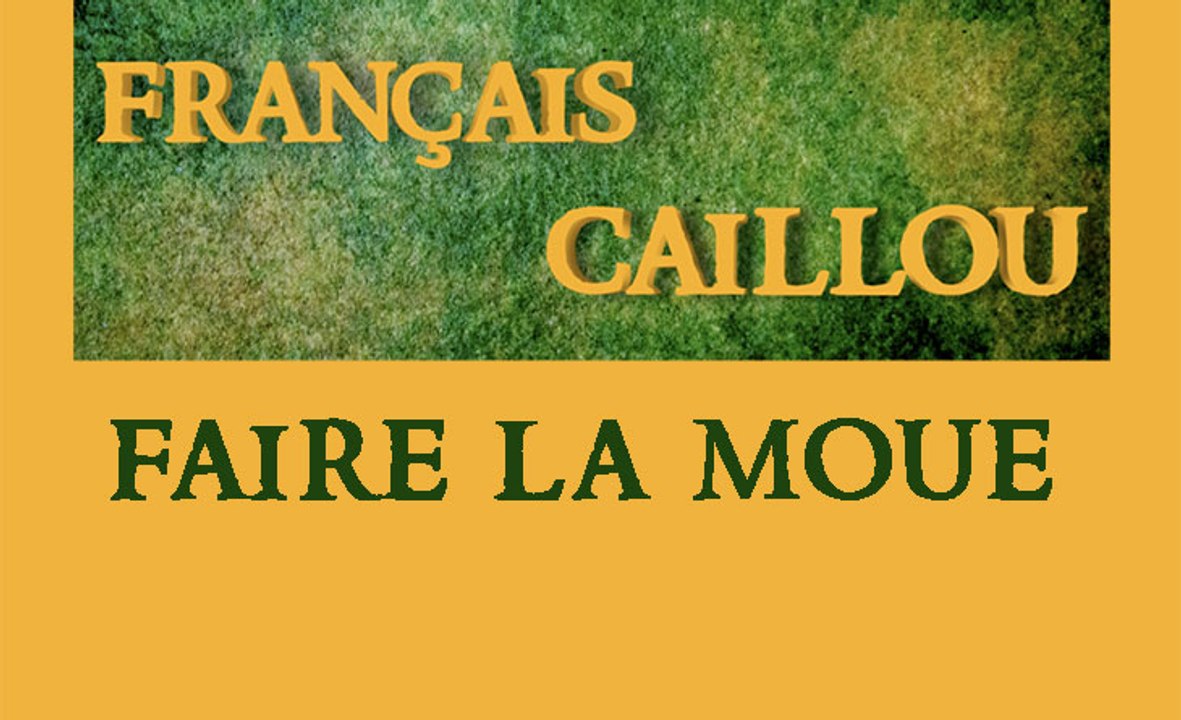Français caillou / Définition du jour : "Faire la moue"