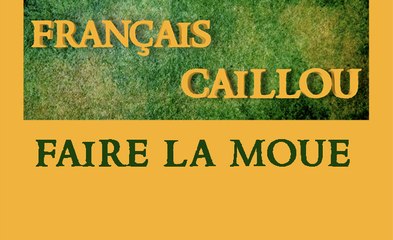 Français caillou / Définition du jour : "Faire la moue"