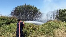 Antalya'da çalılık yangını