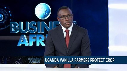 Les producteurs de vanille en Ouganda protègent leur culture[Business Africa]