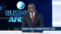 Les producteurs de vanille en Ouganda protègent leur culture[Business Africa]
