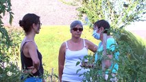 DÉCOUVERTE/ Les jardins partagés, une autre manière de cultiver - 10/08/2018