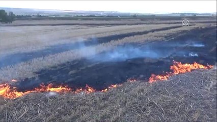 Silivri'de Anız Yangını