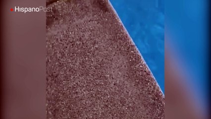 Nicole Kidman no solo es una gran actriz, sino una valiente madre