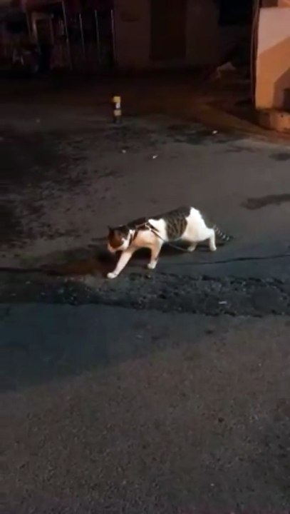Simon⁣! I told you, no more fighting.