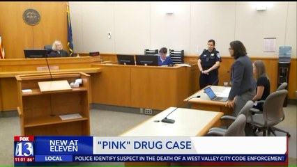 Download Video: Teen Pleads Not Guilty to Drug Charges in 'Pink' Deaths