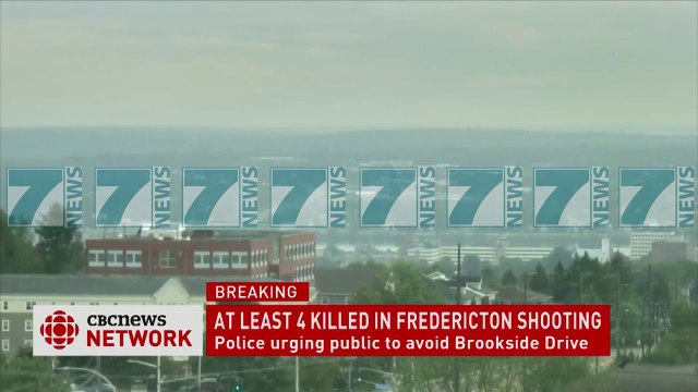 TE SHTENA ME ARME NE KANADA, TE PAKTEN 4 TE VRARE - News, Lajme - Kanali 7