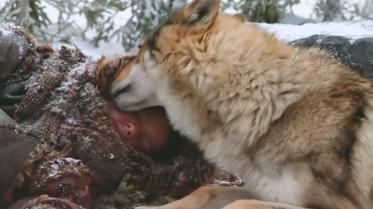'Alpha' Vignette And "Best Friends"