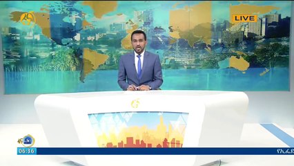 ጠቅላይ ሚኒስትር ዶ/ር አብይ ከተባበሩት አረብ ኢሚሬትስ ዓለም አቀፍ ትብብር ሚኒስትር ጋር