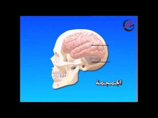 برنامج الأطفال لولو و بلبل ـ الحلقة 3 الثالثة كاملة HD