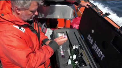 Antibiotics Given to Ailing, ‘Very Skinny’ Killer Whale Off Washington Coast