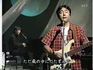 青春の影・・チューリップ