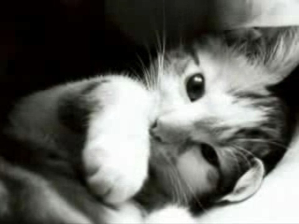 J'ai la memoire qui flanche