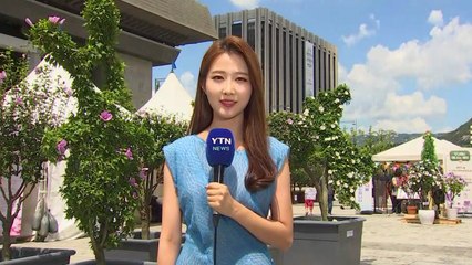 [날씨] 주말 가마솥더위 계속...충청·남부 소나기 / YTN
