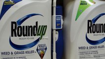 Monsanto culpable en caso de herbicida con glifosato en EEUU