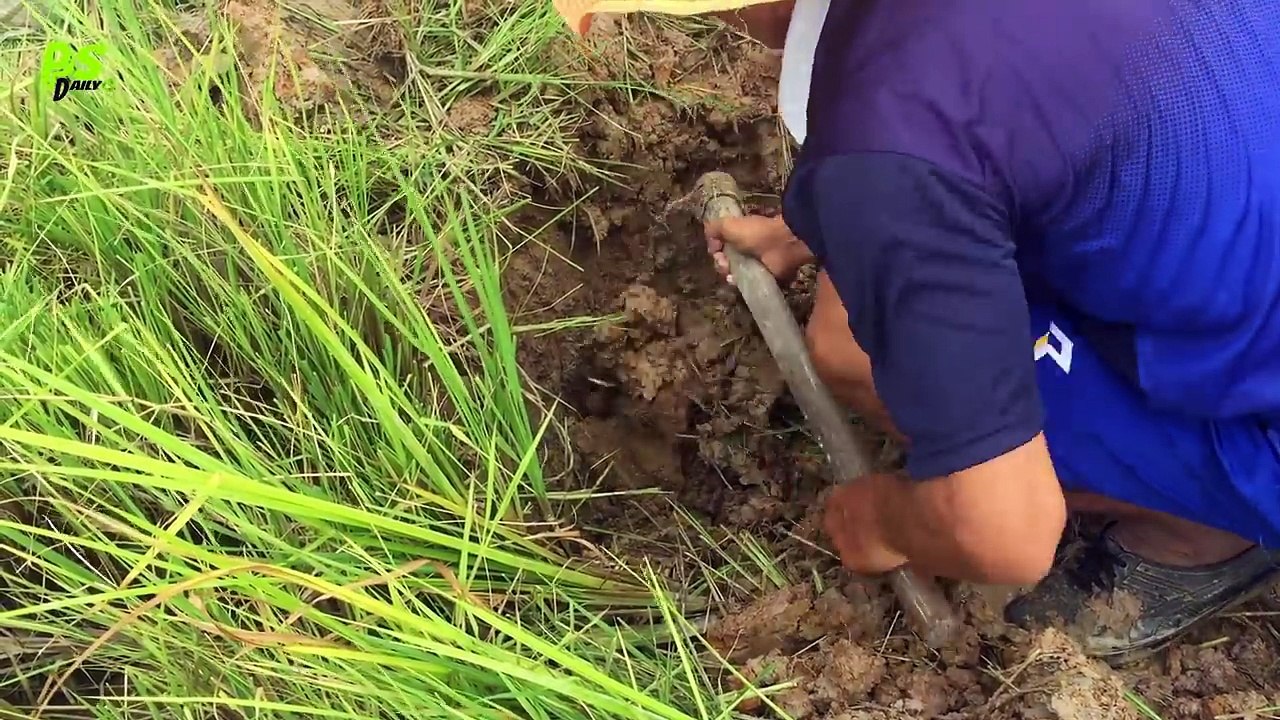 Wow! Smart Man Catch A Lot Of Crabs By Creative Deep Hole Crab Trap Using 6 Bamboo
