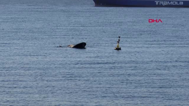 Beylikdüzü Açıklarında Tekne Battı 1 Kişi Kayıp