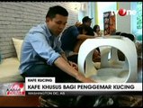 Sensasi Menyantap Makanan di Tengah Puluhan Kucing