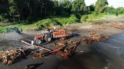 Kışlık odunlarını denizden çıkartıyorlar...Ordu sahili kızıla büründü, havadan böyle görüntülendi