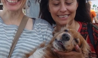 Para ödüllü köpek Taksim Metrosu'nda bulundu