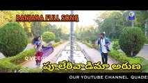 PHOOLERI WADIMA ARUNA BANJARA ¦¦ FULL¦¦LENGTH ¦¦SONG ¦¦ NEW ¦¦ QVIDEOS
