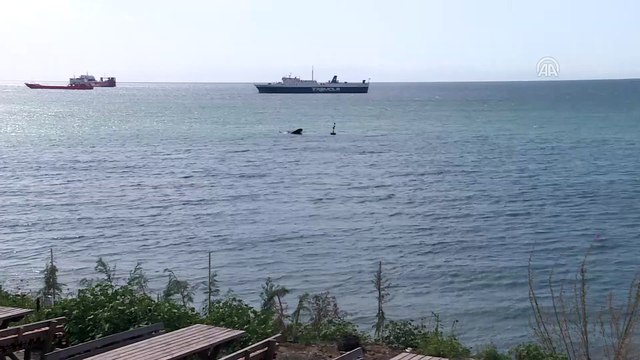 Beylikdüzü Kavaklı Sahili açıklarında bir tekne battı - İSTANBUL