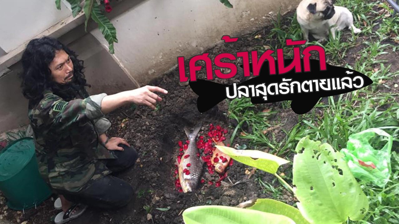 เสก โลโซ เศร้าหนักปลาสุดรักตาย ขุดหลุมจัดงานศพให้